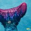 Kostým mořské panny Kuaki Mermaids - ocas, monofin ploutev a vrchní díl plavek - set 3 ks - Magic - XXS 5-6 let
