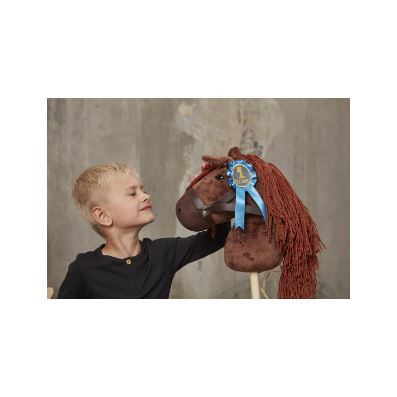 Ceny pro vítězné koníky Hobby Horse By Astrup - Rozetky