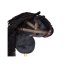 Hobby koník na tyči By Astrup - Hobby Horse Black