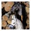 Hobby koník na tyči By Astrup - Hobby Horse Blaze Dark Grey